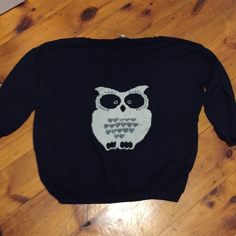 Blue owl sweatshirt